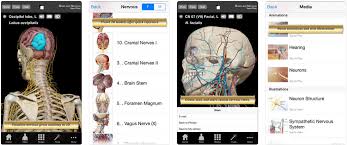Photo of 5 تطبيقات مفيدة لأطباء المخ والأعصاب