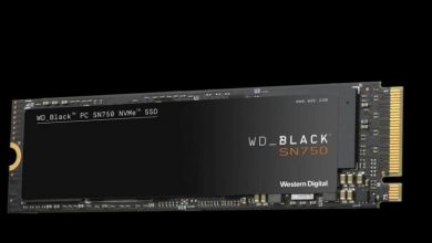 Photo of ويسترن ديجيتال تطرح WD Black SN750 NVMe SSD