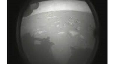 Photo of ناسا: المركبة الفضائية برسفيرنس تهبط على كوكب المريخ بنجاح بحثاً عن حياة قديمة